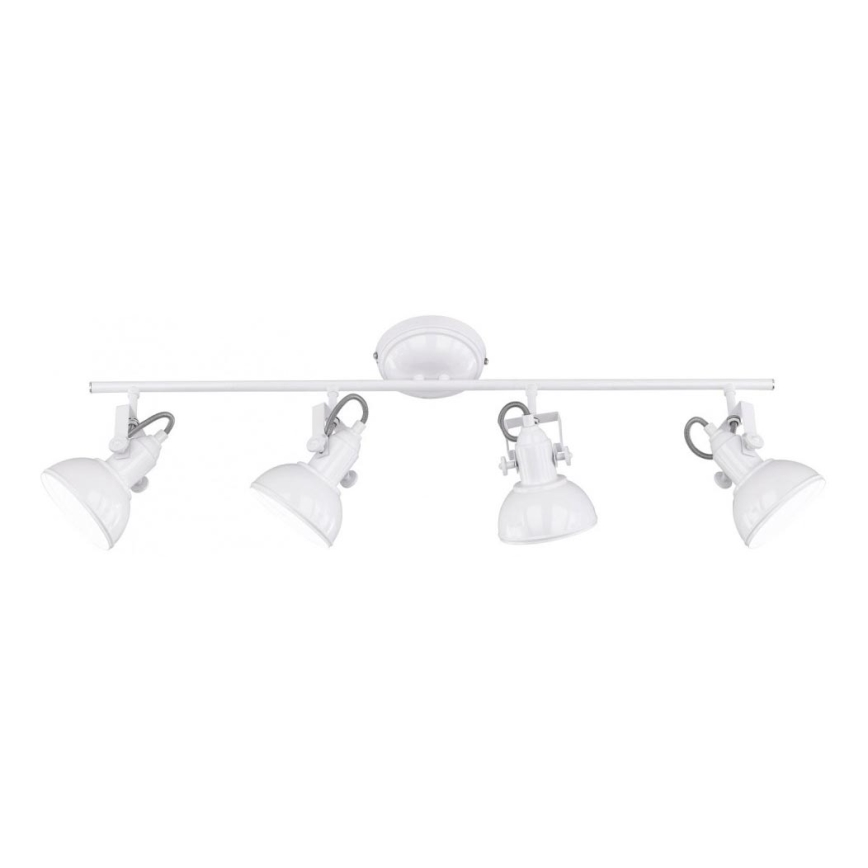 Trio - Akcentinis apšvietimas GINA 4xE14/40W/230V balta