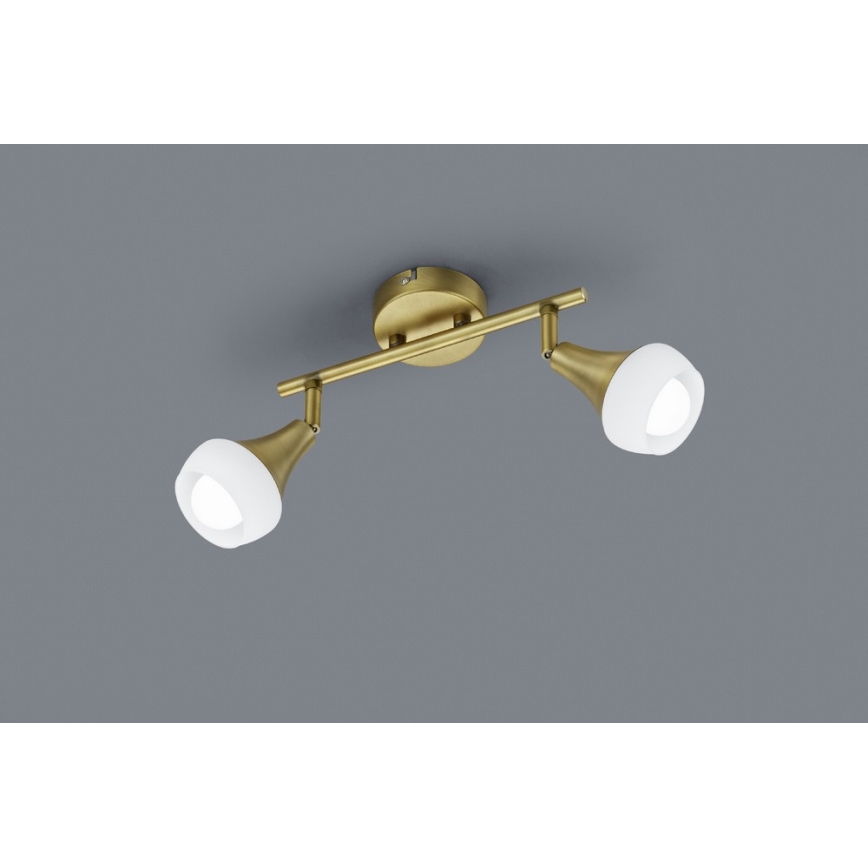 TRIO - Akcentinis apšvietimas TRUMPET 2xE14/40W/230V