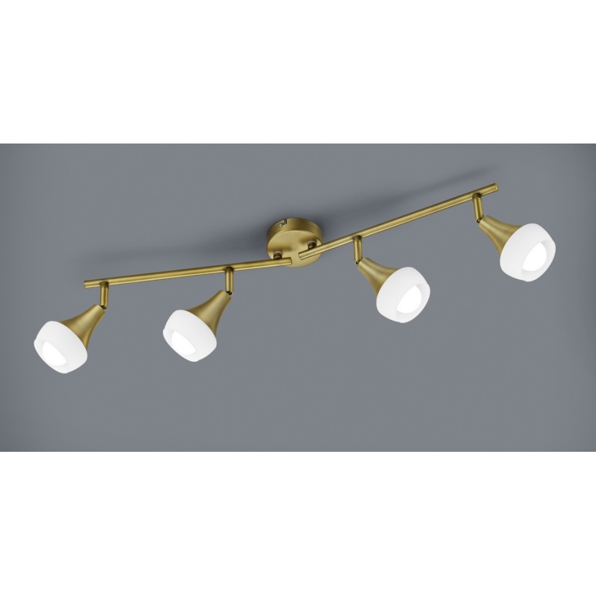 TRIO - Akcentinis apšvietimas TRUMPET 4xE14/40W/230V