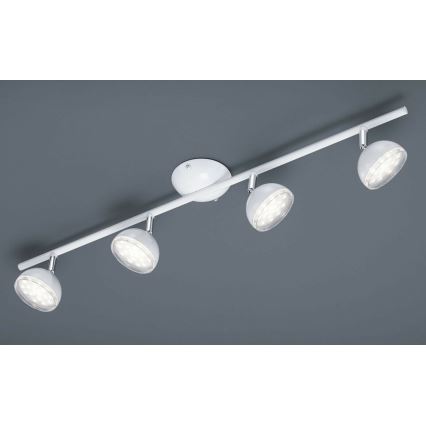 Trio - LED Akcentinis šviestuvas BOLOU 4xLED/3,8W/230V