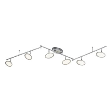 TRIO - LED akcentinis šviestuvas DUELLANT 6xLED/4,3W/230V 3000K