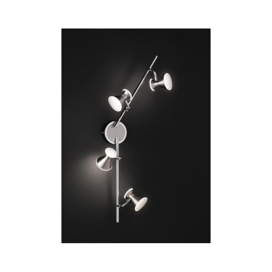 Trio - LED Akcentinis šviestuvas DUKE 4xLED/4,3W/230V