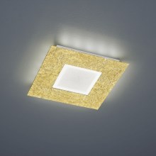 Trio - LED lubų šviestuvas CHIROS LED / 12W / 230V + LED / 3,5W