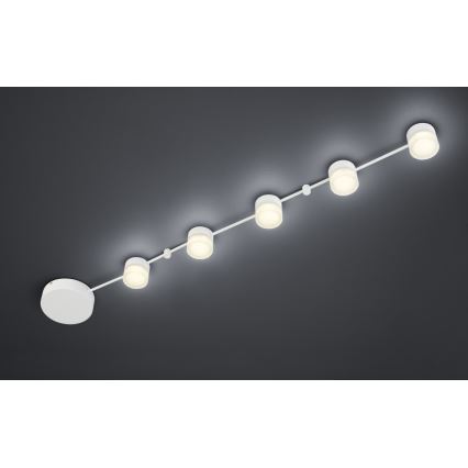 Trio - LED Reguliuojamas lubinis šviestuvas NASHVILLE 5xLED/3W/230V