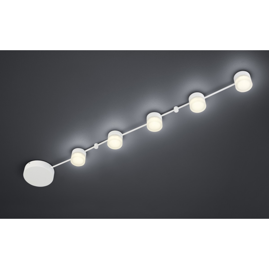 Trio - LED Reguliuojamas lubinis šviestuvas NASHVILLE 5xLED/3W/230V