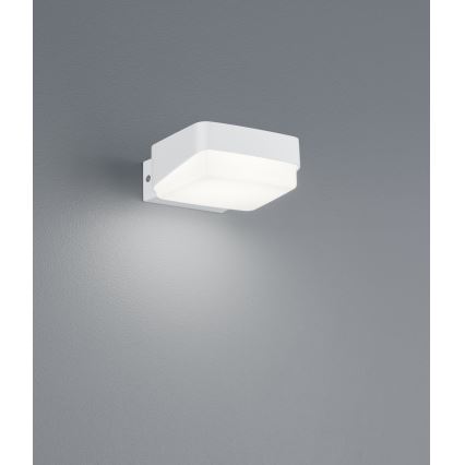 Trio - LED sieninis lauko šviestuvas JUBA LED/10W/230V IP65