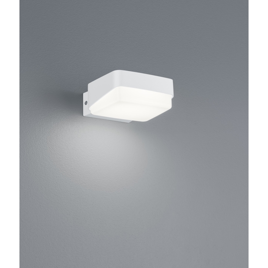 Trio - LED sieninis lauko šviestuvas JUBA LED/10W/230V IP65