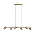 Trio - Pakabinamas šviestuvas ant laido MARLEY 6xGU10/35W/230V, žalvario spalva