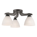 Tvirtinamas sietynas ADRIANO 3xE27/60W/230V - FSC sertifikuota