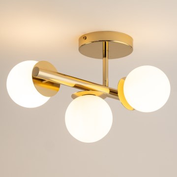 Tvirtinamas sietynas AVOLA 3xG9/12W/230V auksas