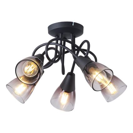 Tvirtinamas sietynas CLASSY 5xE14/7W/230V