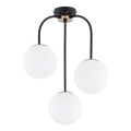 Tvirtinamas sietynas GAMMA 3xE14/10W/230V juoda/auksas