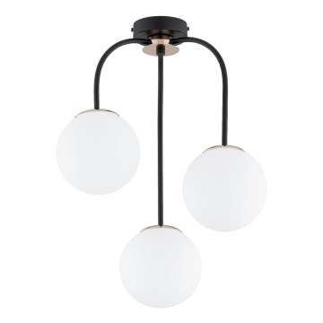 Tvirtinamas sietynas GAMMA 3xE14/10W/230V juoda/auksas