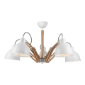 Tvirtinamas sietynas MARCELLO 5xE27/60W/230V - FSC sertifikuota