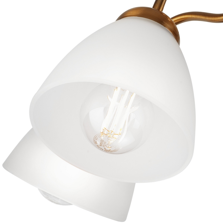 Tvirtinamas sietynas  MIRANDA 1xE27/60W/230V aukso