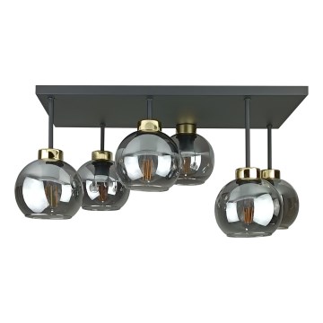 Tvirtinamas sietynas NESSA 6xE27/60W/230V juoda/auksas/dūminis juoda