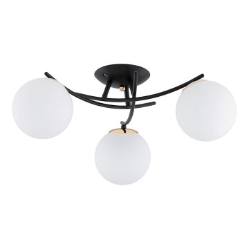 Tvirtinamas sietynas SAVI 3xE14/10W/230V juoda/auksas