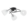 Tvirtinamas sietynas VERWIL 3xE27/15W/230V juoda