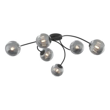 Tvirtinamas sietynas VIBRA 6xE14/10W/230V juoda/pilka