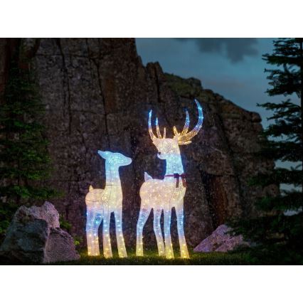 Twinkly - LED RGBW Dimeriuojamas lauko kalėdinis elnias REINGEERS 250xLED IP44 Wi-Fi
