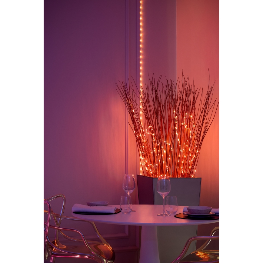 Twinkly - LED RGB reguliuojamo ryškumo girlianda DOTS, 60 LED, 7 m, USB, Wi‑Fi