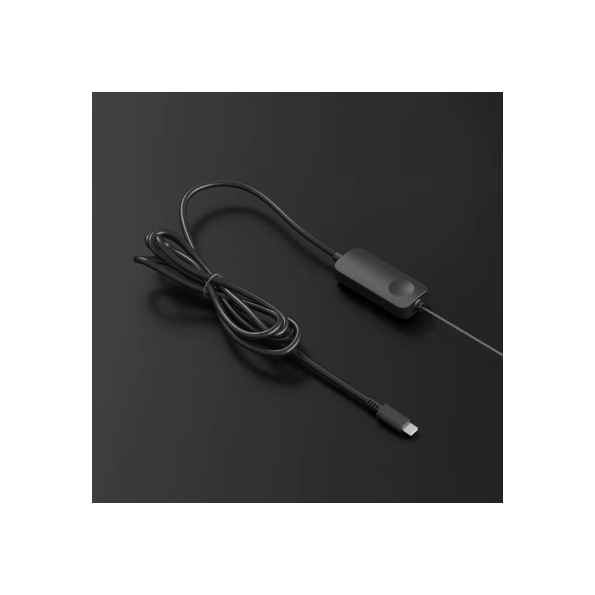 Twinkly - LED RGB šviesos reguliavimas Kelėdinė girlianda 100xLED 8 m USB Wi-Fi