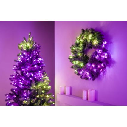 Twinkly - LED RGB šviesos reguliavimas Kalėdinis vainikas PRE-LIT WREATH 50xLED diametras 61cm Wi-Fi