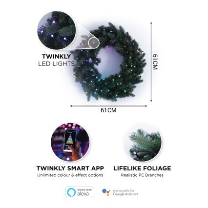 Twinkly - LED RGB šviesos reguliavimas Kalėdinis vainikas PRE-LIT WREATH 50xLED diametras 61cm Wi-Fi