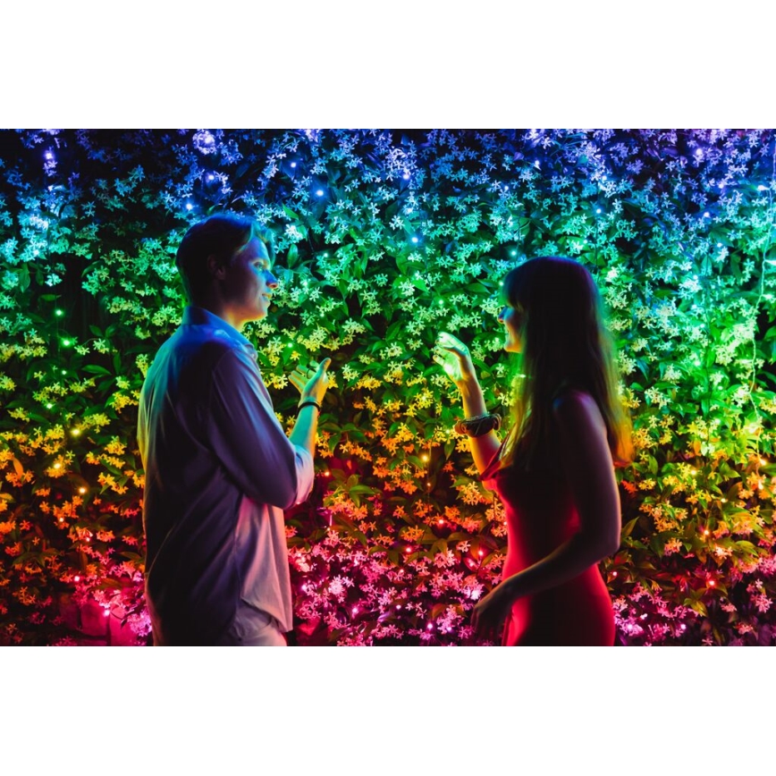 Twinkly - LED RGBW šviesos reguliavimas lauko Kelėdinė girlianda STRINGS 250xLED 23,5m IP44 Wi-Fi