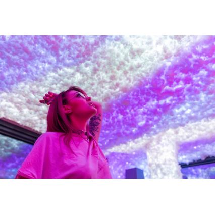 Twinkly - LED RGBW reguliuojama lauko girlianda STRINGS 250 LED 23,5 m IP44 Wi-Fi