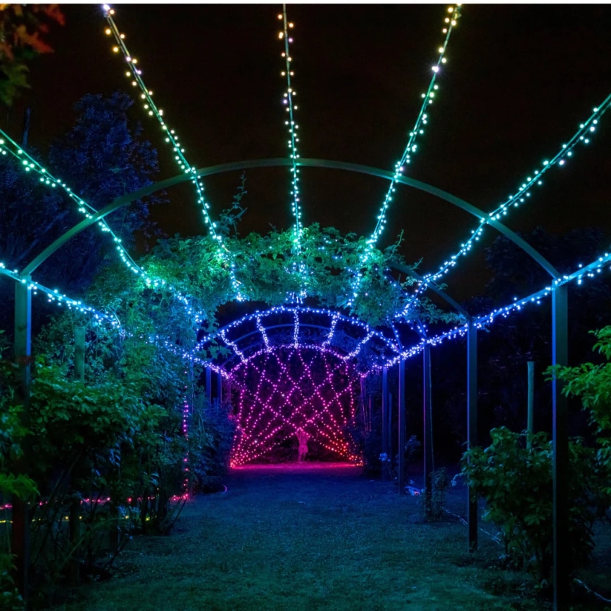 Twinkly - LED RGBW šviesos reguliavimas lauko Kelėdinė girlianda STRINGS 250xLED 23,5m IP44 Wi-Fi