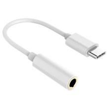 USB-C adapteris, AUX