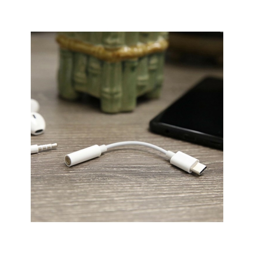 USB-C adapteris, AUX