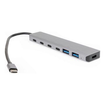 USB-C koncentratorius 7 viename su Power Delivery 100 W