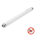 UV fluorescencinis vamzdelis vabzdžių gaudyklei G13/10W/230V 36,5 cm - BRILAGI