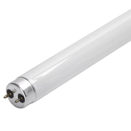 UV fluorescencinis vamzdelis vabzdžių gaudyklei G13/10W/230V 36,5 cm - BRILAGI