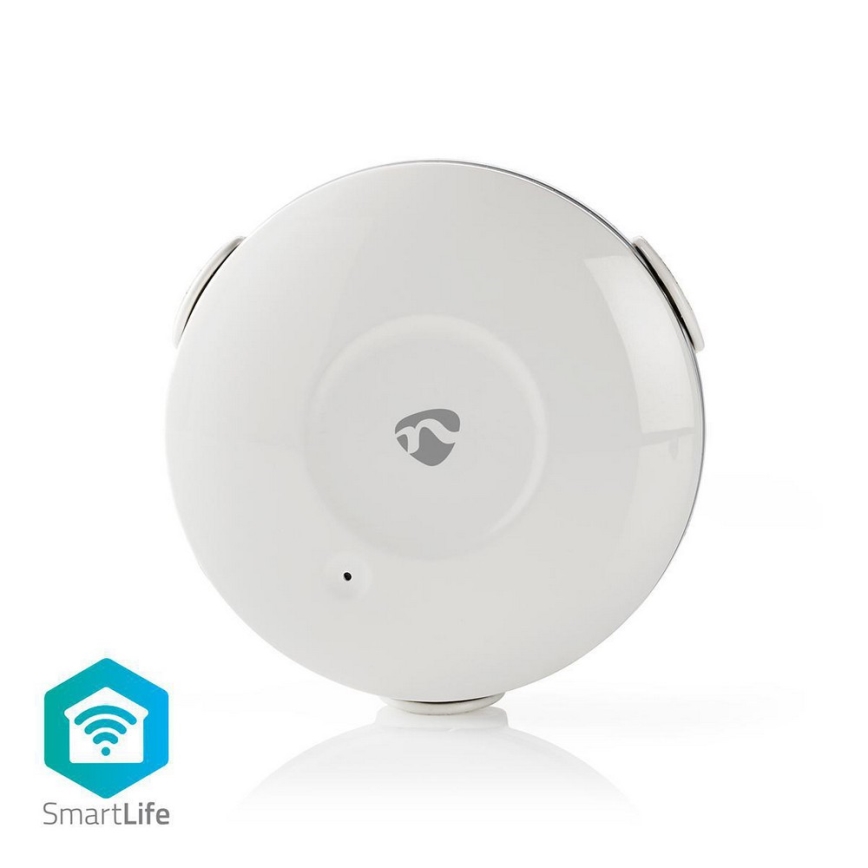 Vandens nuotėkio detektorius 3V/1xCR123A + 1xCR2/20dBm Wi-Fi