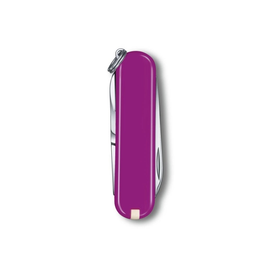 Victorinox - Daugiafunkcis kišeninis peilis CLASSIC SD 5,8 cm/7 funkcijos violetinė