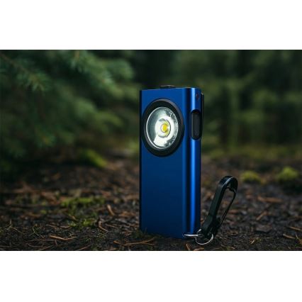 Viking - reguliuojamo ryškumo įkraunamas LED žibintuvėlis LED/5V IPX3 500 lm 500 mAh