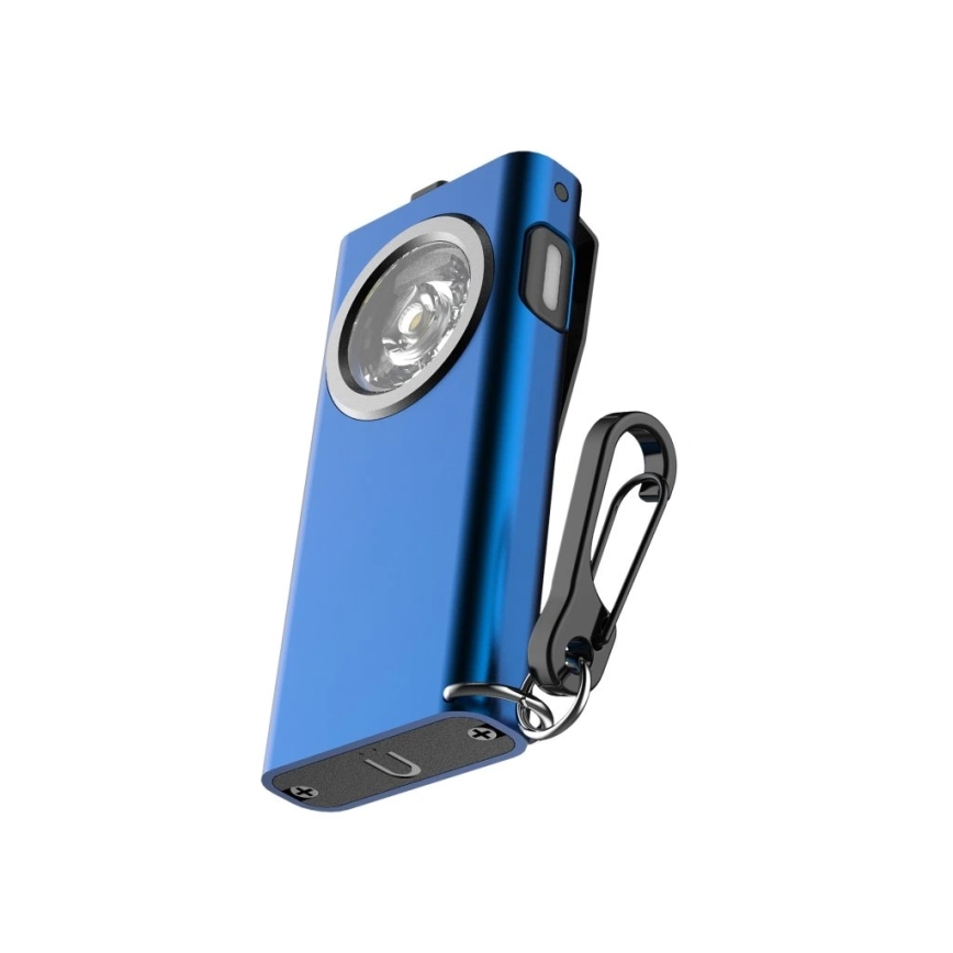 Viking - reguliuojamo ryškumo įkraunamas LED žibintuvėlis LED/5V IPX3 500 lm 500 mAh