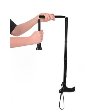 Vitility - sulankstoma juoda lazda