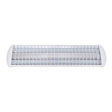 Voltolux - LED Liuminescencinis šviestuvas MODERN 2xLED/12W/230V