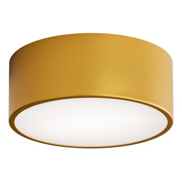 Vonios kambario lubinis šviestuvas CLEO su judesio davikliu, 1xE27/24W/230V, Ø 20 cm, IP54, auksinis