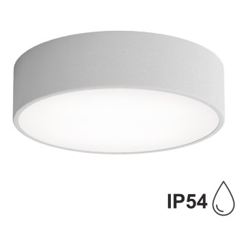 Vonios kambario lubinis šviestuvas CLEO su jutikliu, 2xE27/24W/230V, Ø 30 cm, pilkas, IP54