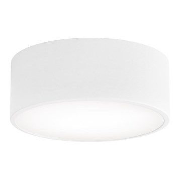 Vonios kambario lubinis šviestuvas su jutikliu CLEO, 1xE27/24W/230V, skersmuo 20 cm, IP54, baltas