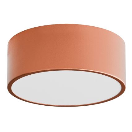 Vonios kambario lubinis šviestuvas su jutikliu CLEO 1xE27/24W/230V, skersmuo 20 cm, IP54, varinis
