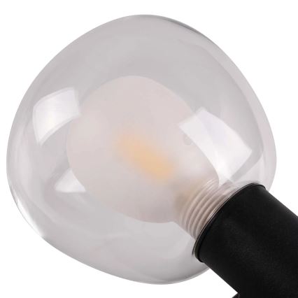 Vonios kambario sieninis šviestuvas POLA 2xG9/5W/230V IP44 juodas/skaidrus