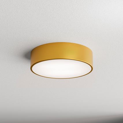 Vonios lubų šviestuvas su judesio jutikliu CLEO, 2×E27/24 W/230 V, skersmuo 30 cm, auksinės spalvos, IP54