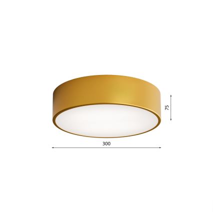Vonios lubų šviestuvas su judesio jutikliu CLEO, 2×E27/24 W/230 V, skersmuo 30 cm, auksinės spalvos, IP54