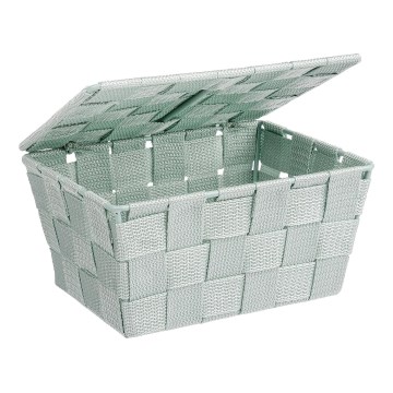 WENKO 22573100 - Krepšelis ADRIA 19x14 cm žalias